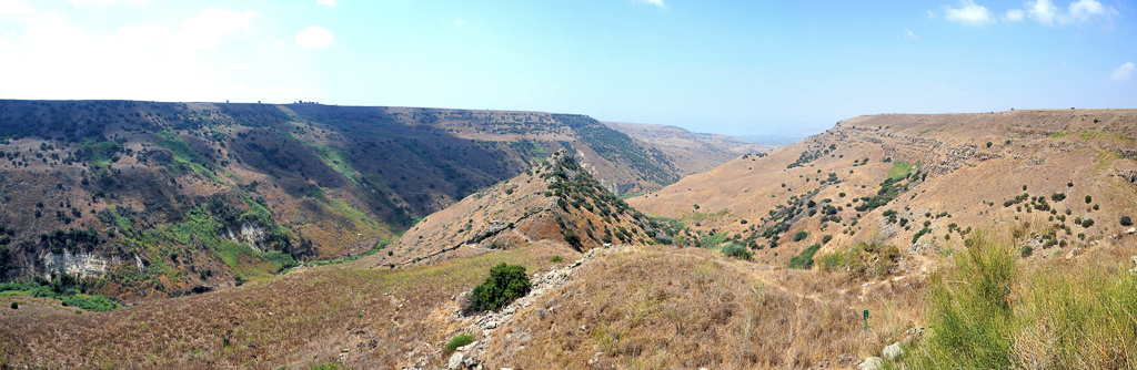 Gamla