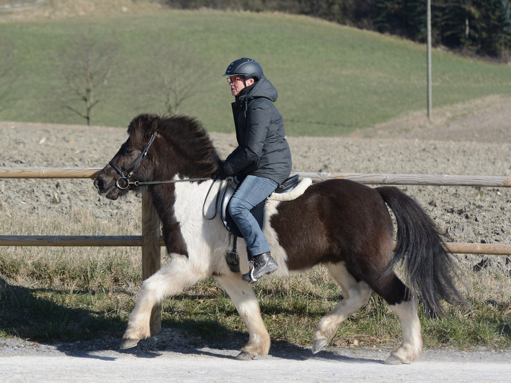 Gangarten 001