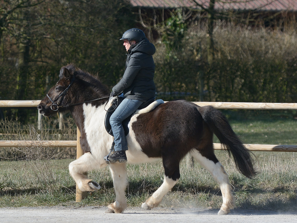 Gangarten 002