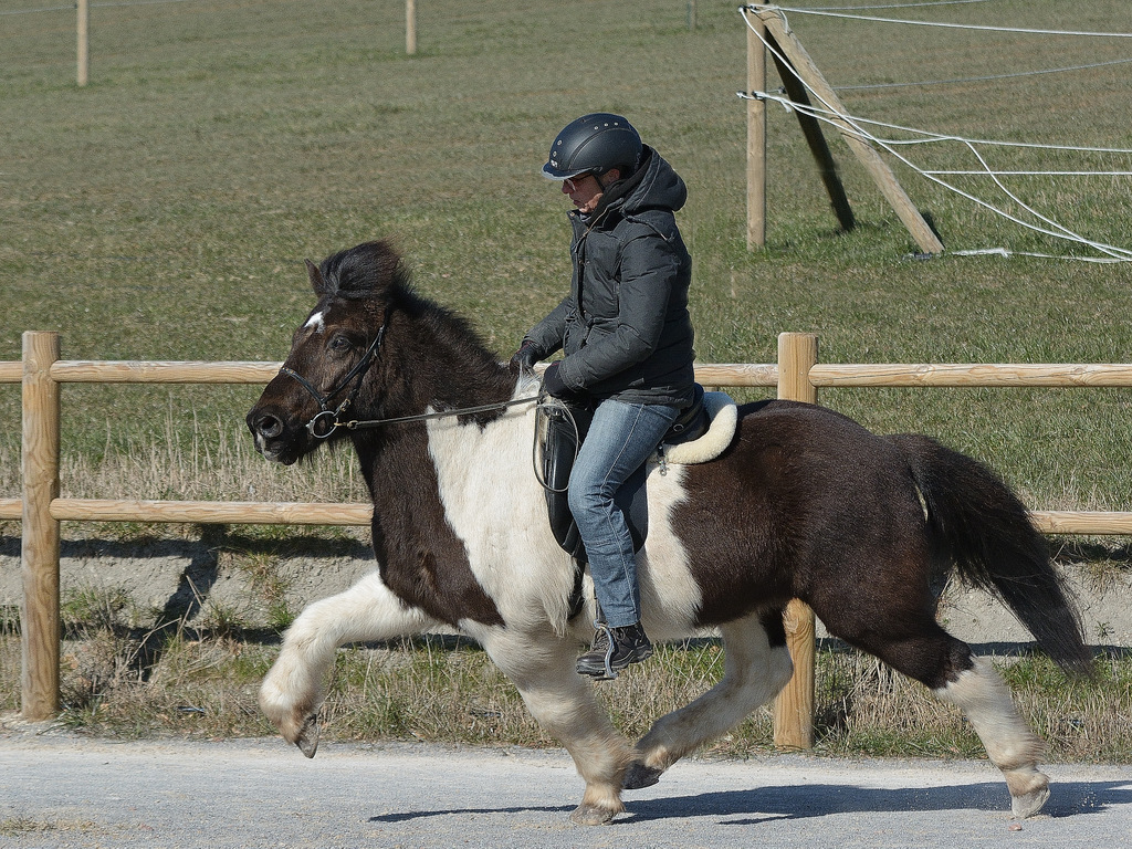 Gangarten 003
