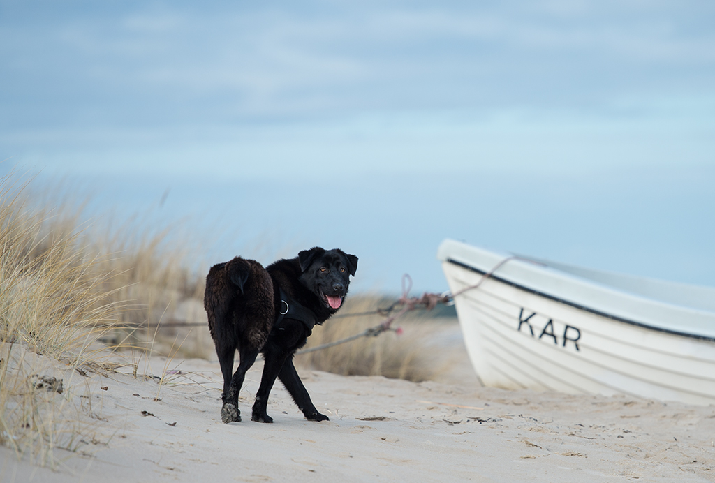 gari am strand