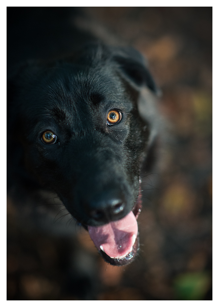 gari im licht2