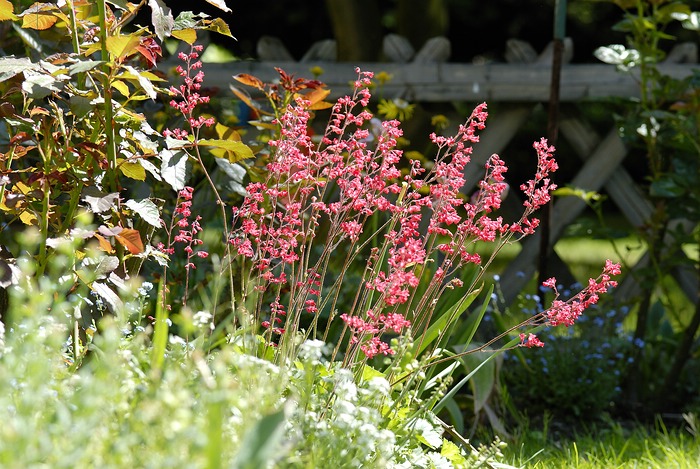 Garten1