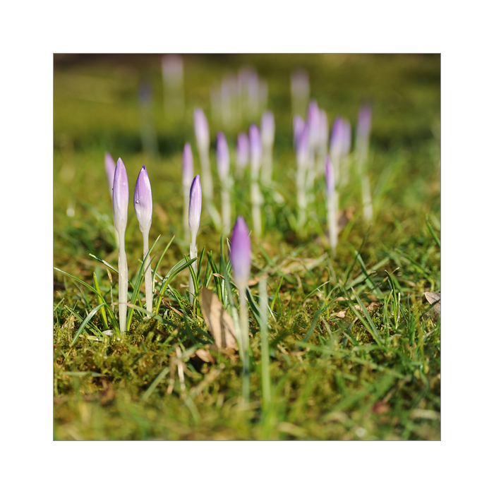 garten2