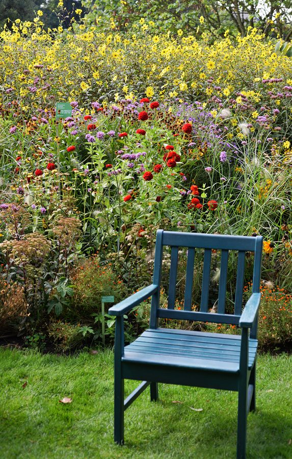 gartenimpressionen 01