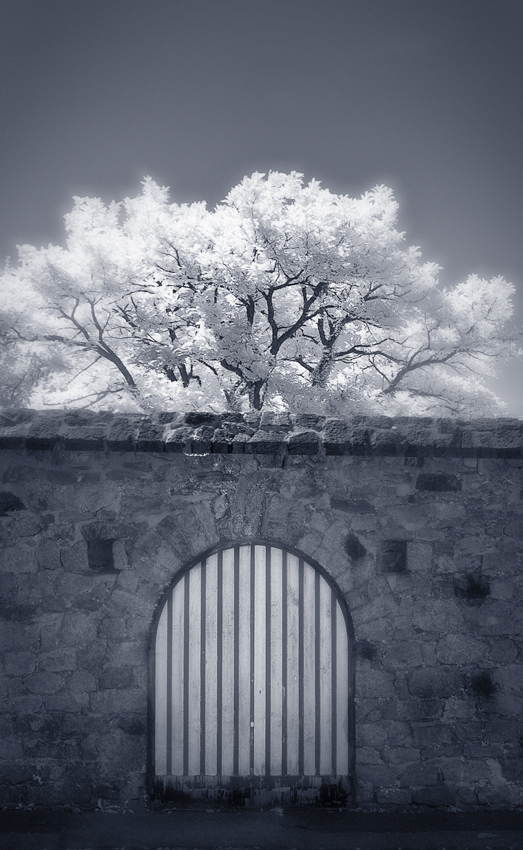 gateIR