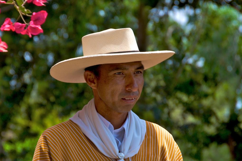 Gaucho