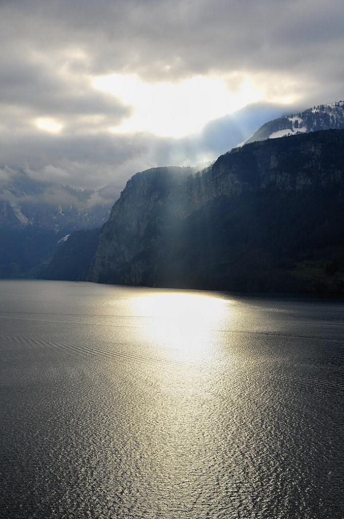 gegenlicht