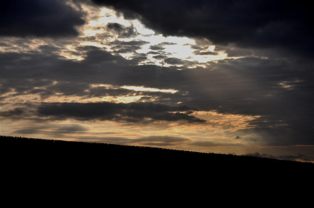 Gegenlicht