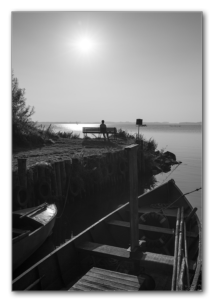 gegenlicht2