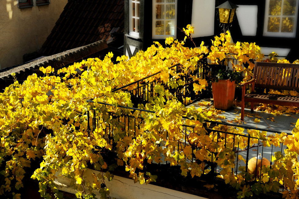 Gelber Balkon