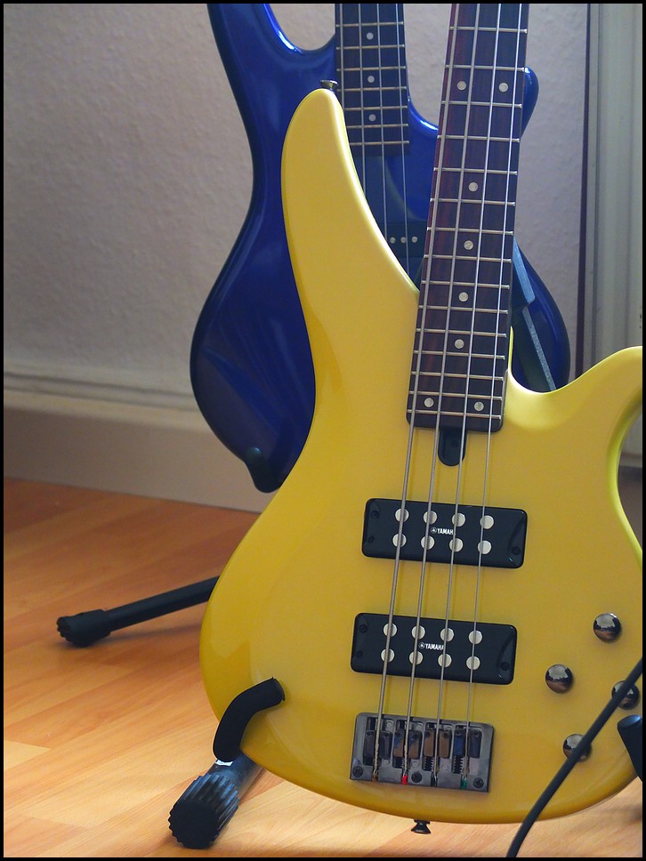 Gelbsucht.