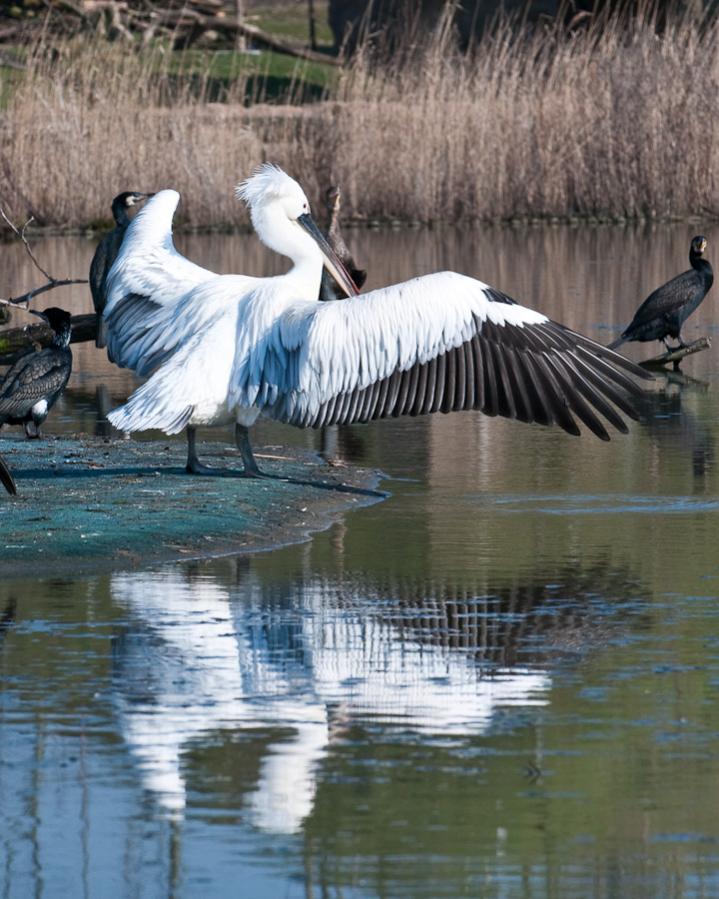 Gelsenkirchen Zoo