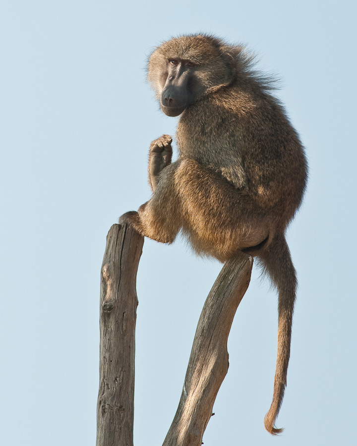 Gelsenkirchen Zoo