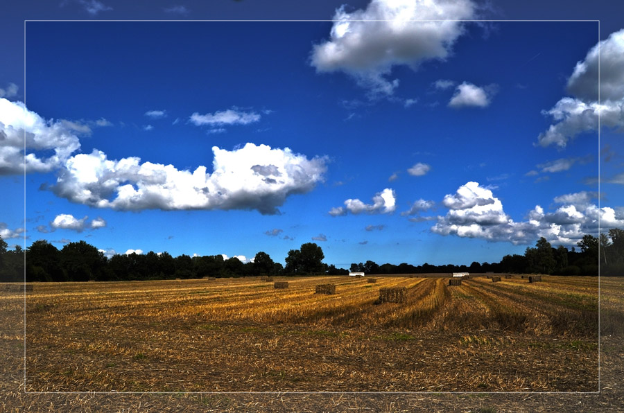 gemähtes Kornfeld (HDR)