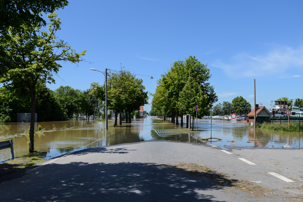 Gernsheim   DSC 0054 V2