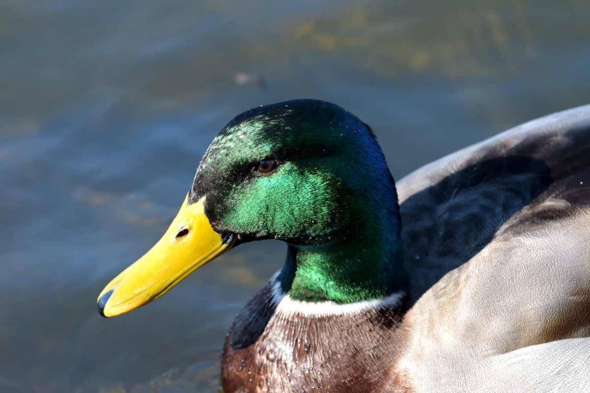 Gesichter_00001DSC_0999.jpg