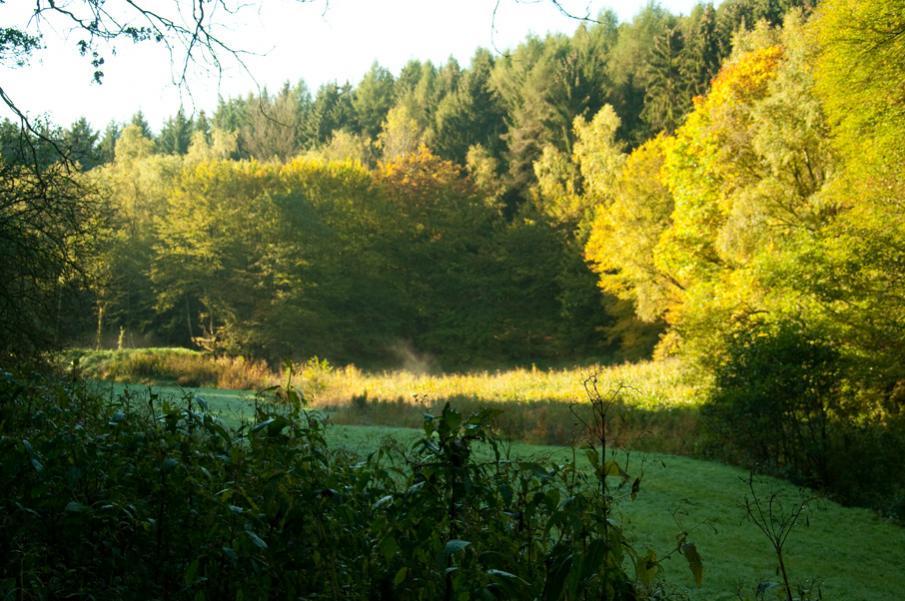 Gespenst