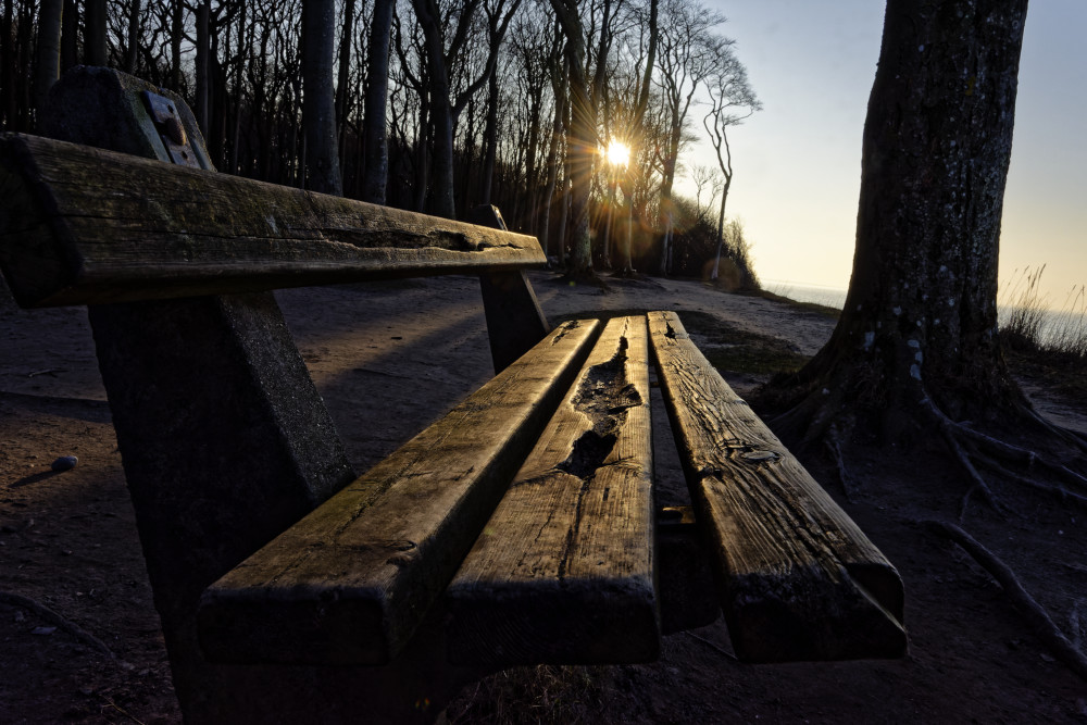 Gespensterwald2