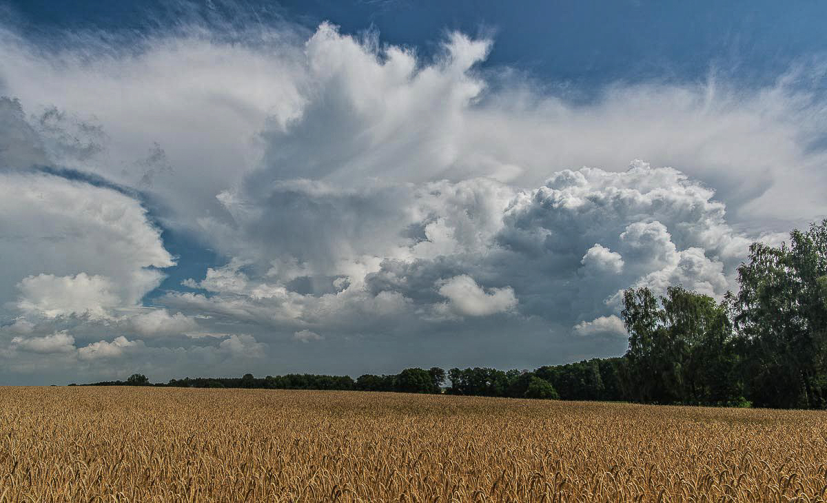 Gewitterwolken.jpg