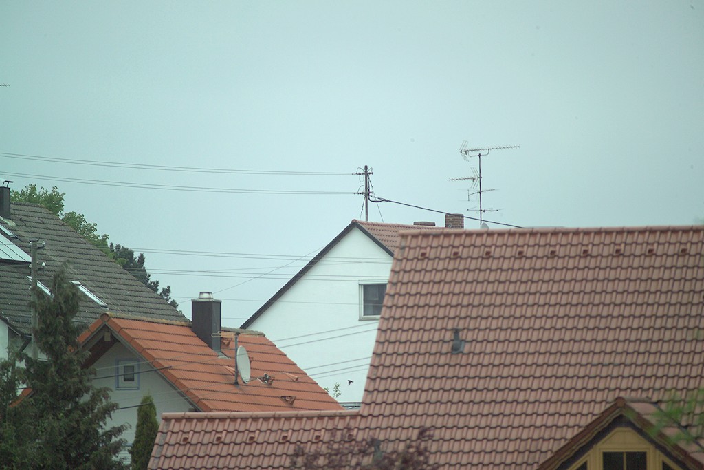 GH6C0964