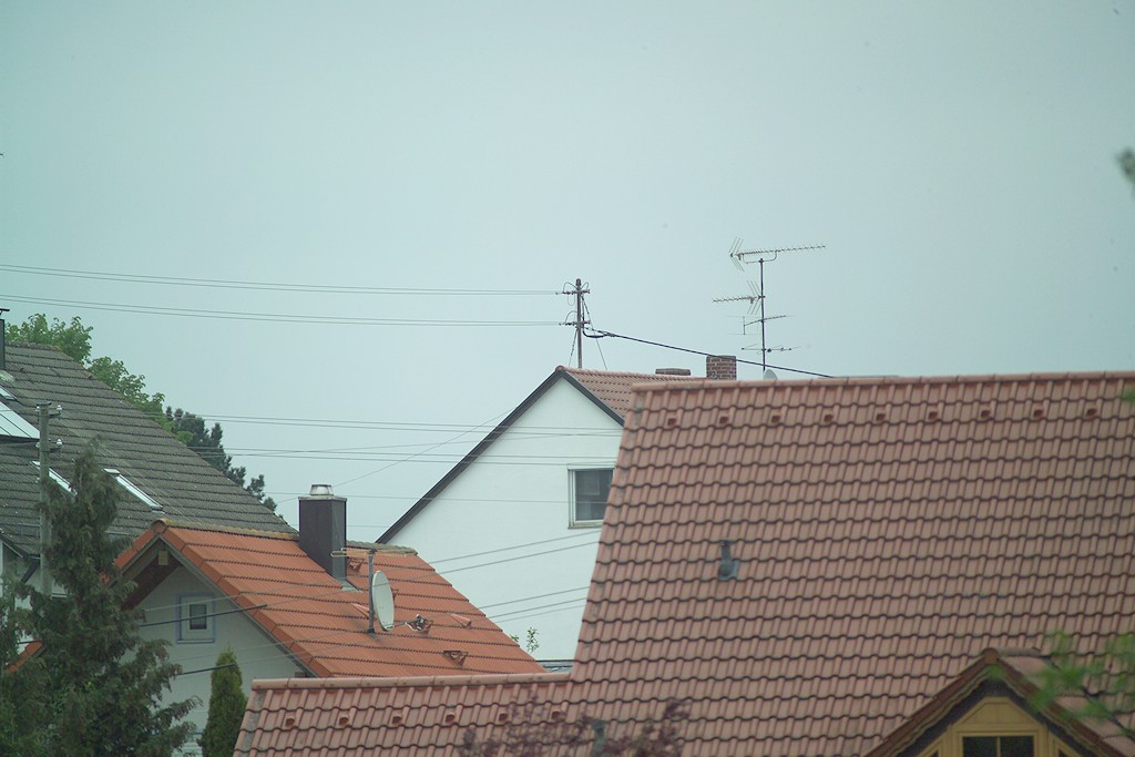GH6C0965