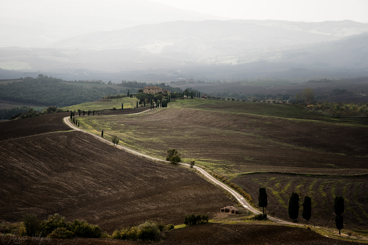 Gladiators path