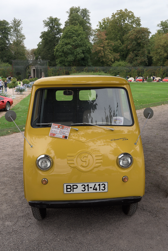 Glas Goggomobil T250 [DSC_8196]