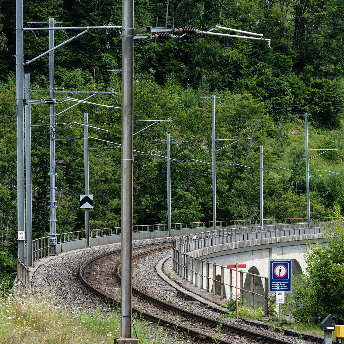 Gleis.jpg