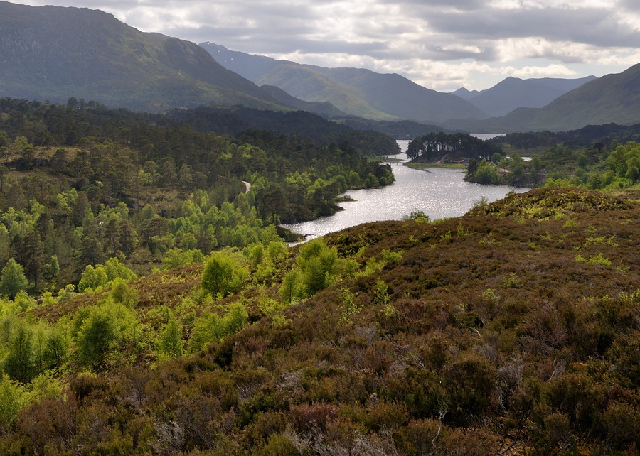 glenaffric2