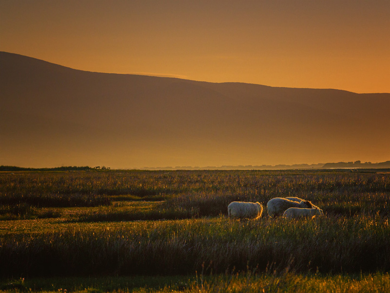 Glenbeigh - Sonnenaufgang hinterm Deich