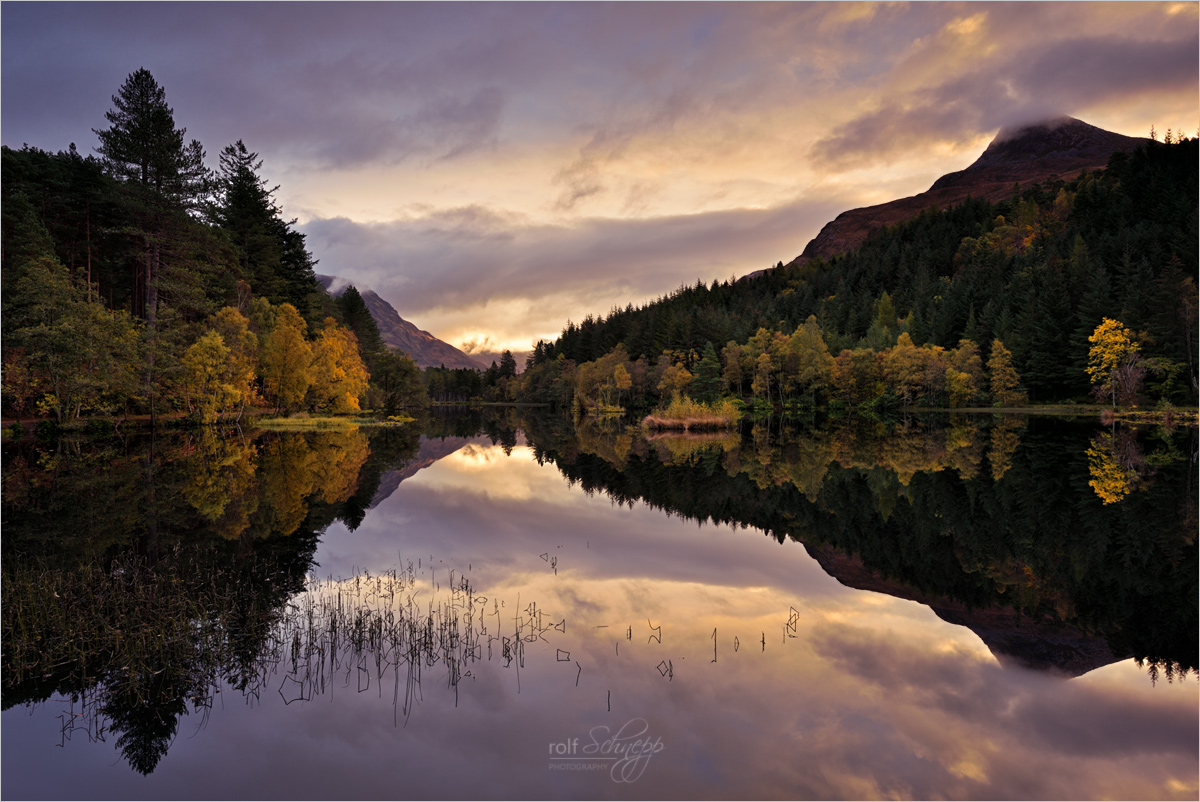 Glencoe
