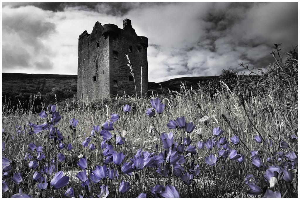 Gleninagh Castle