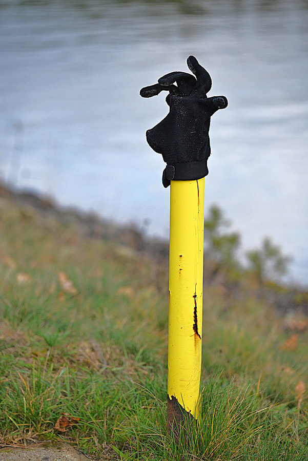 Glove - der Handschuh_2.jpg
