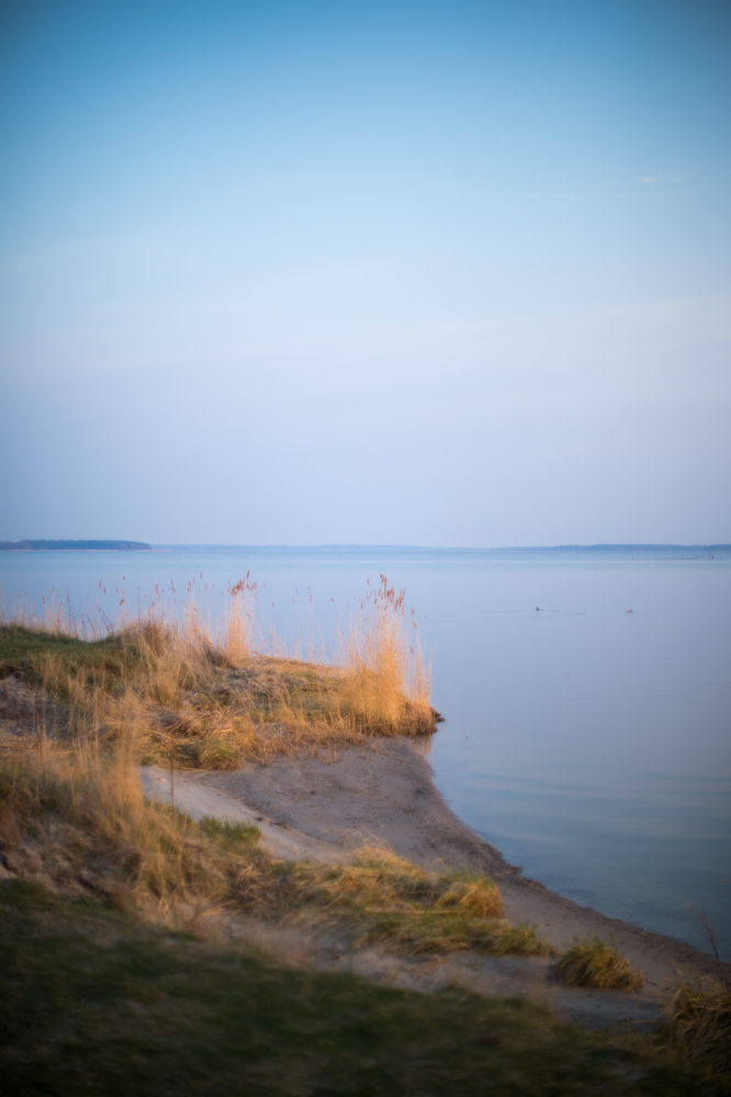 gnitz1