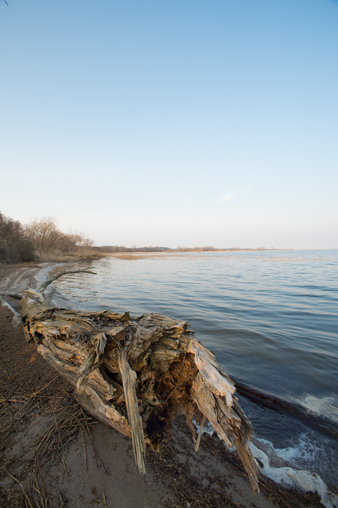 gnitz3
