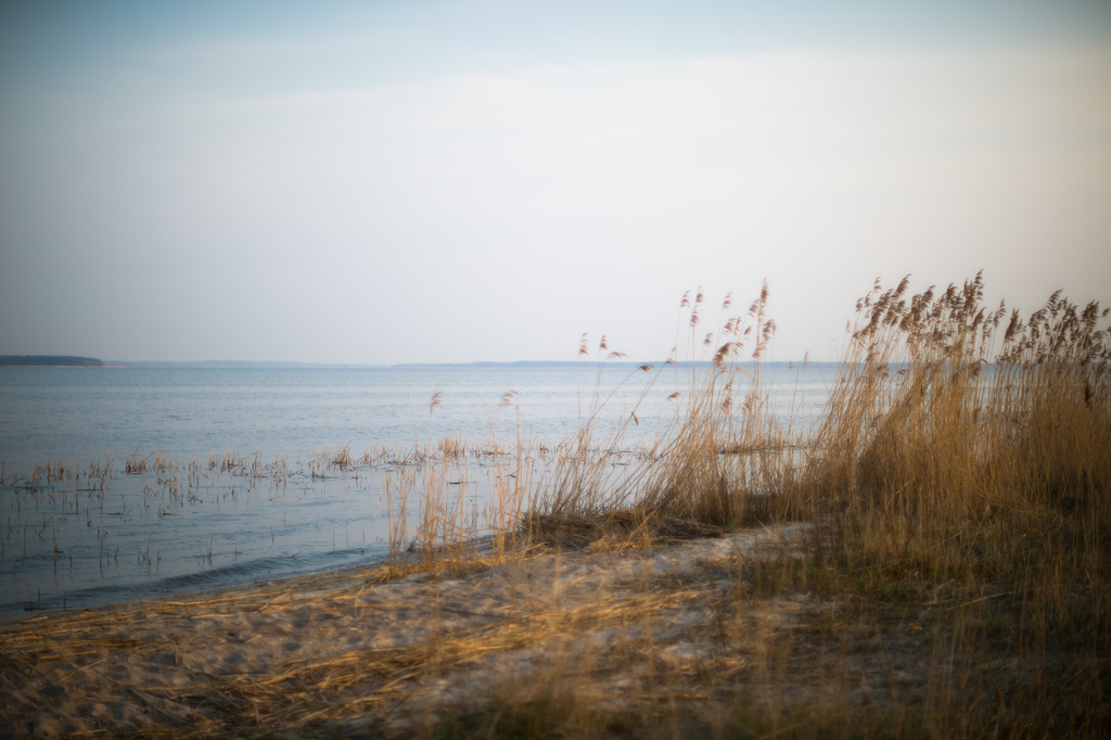 gnitz4