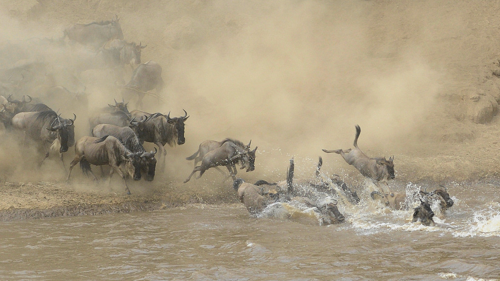 gnu 3