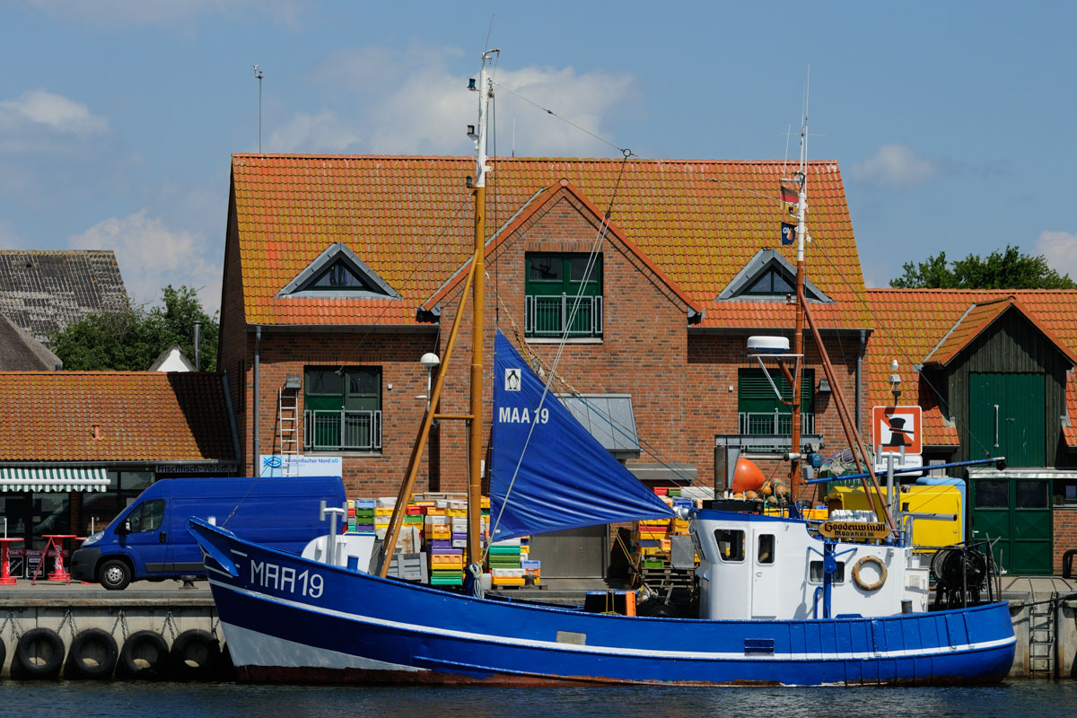 Godenwind 2010