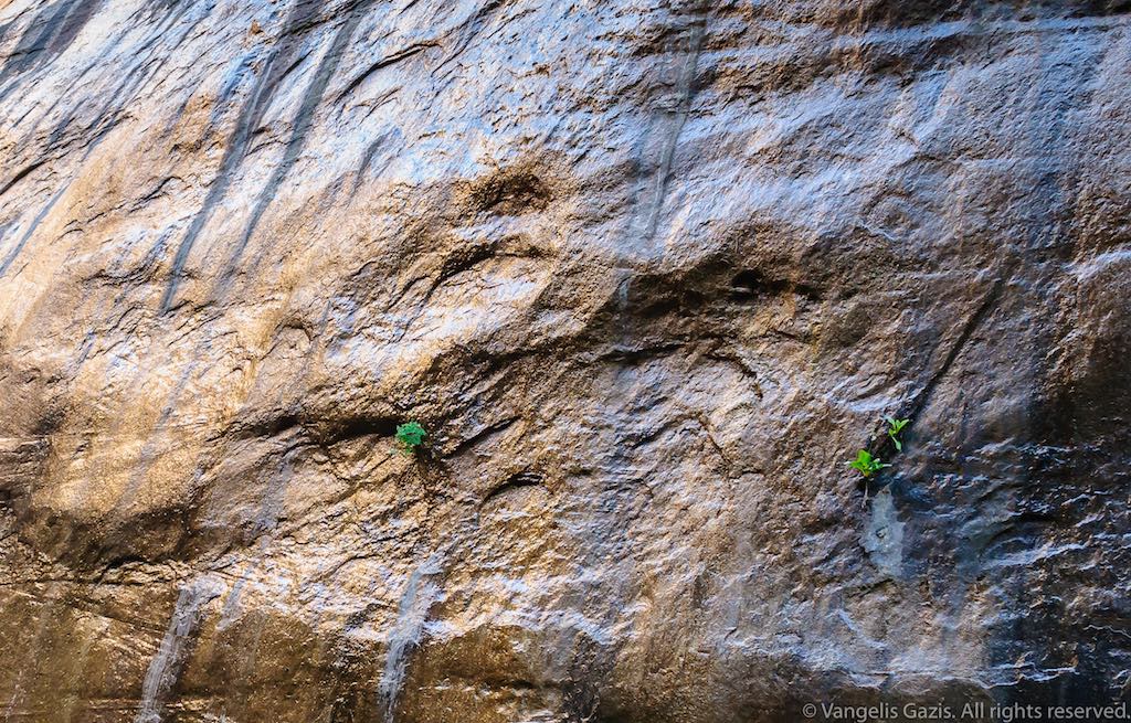 Gold Licht auf dem Steinwand der Zion Schlucht.