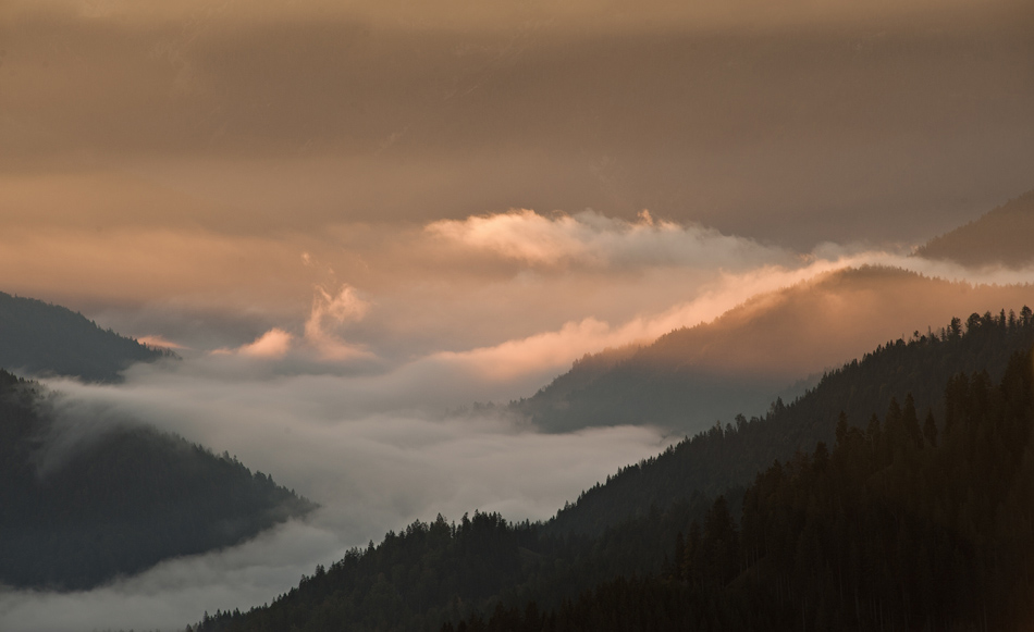 golden fog