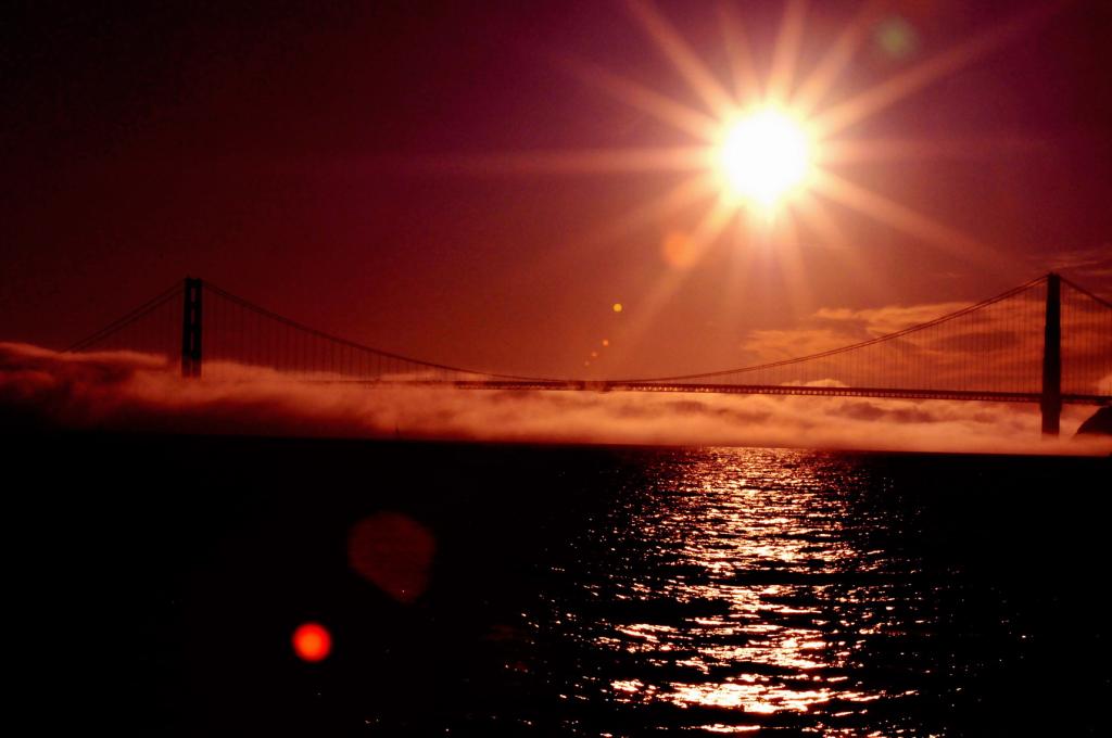 Golden Gate