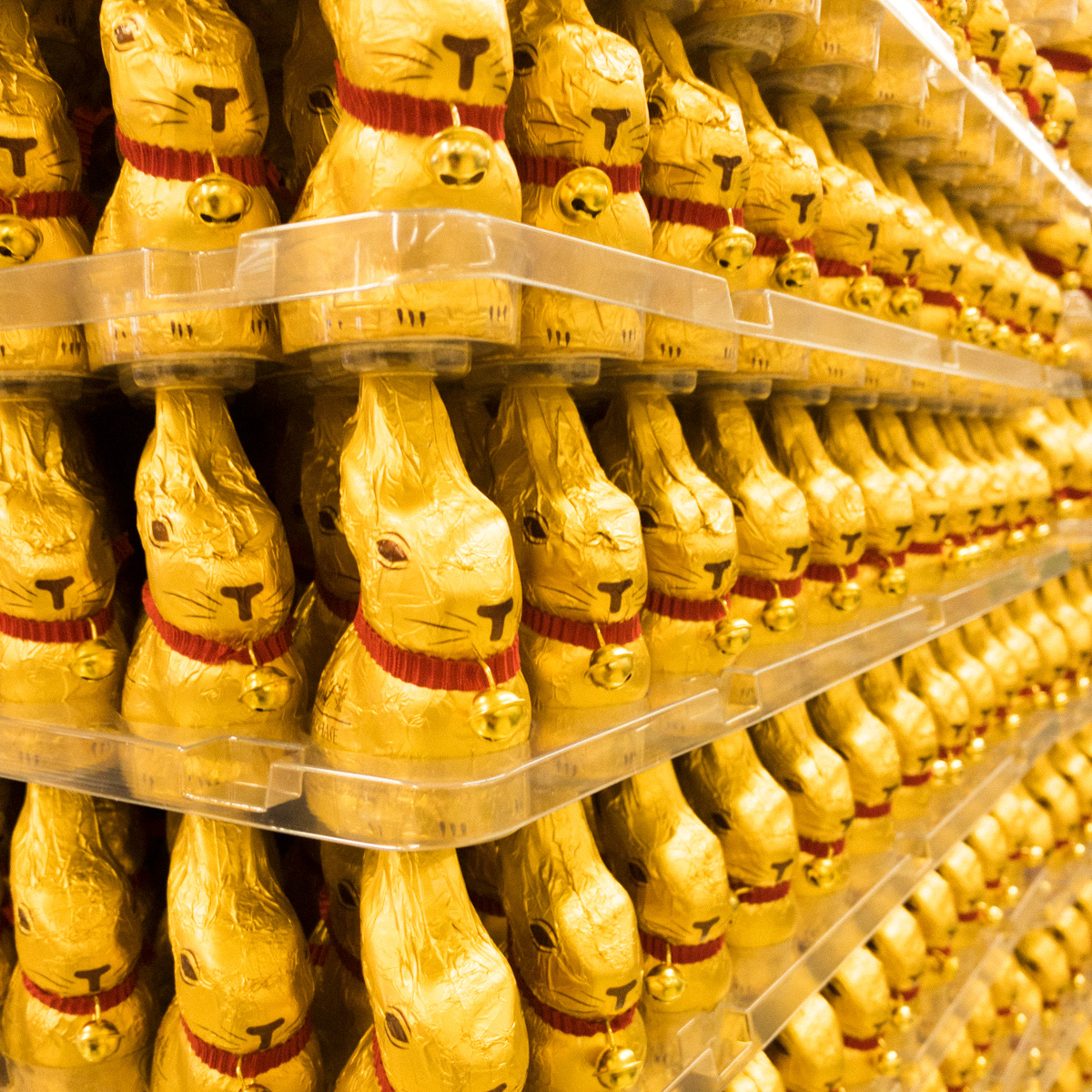 Goldhaseninvasion