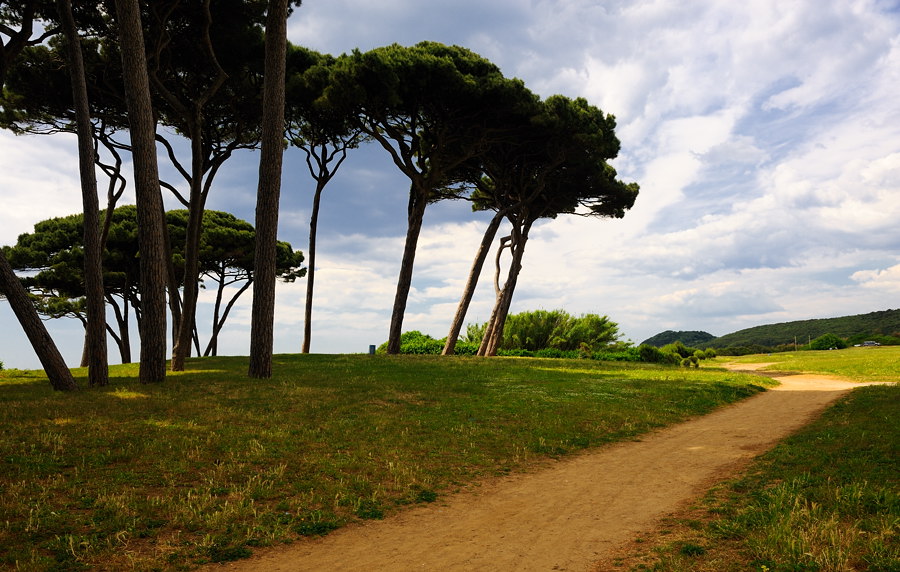 Golf von Baratti