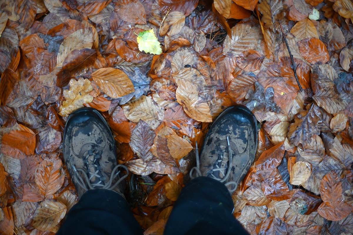 Goretex.jpg