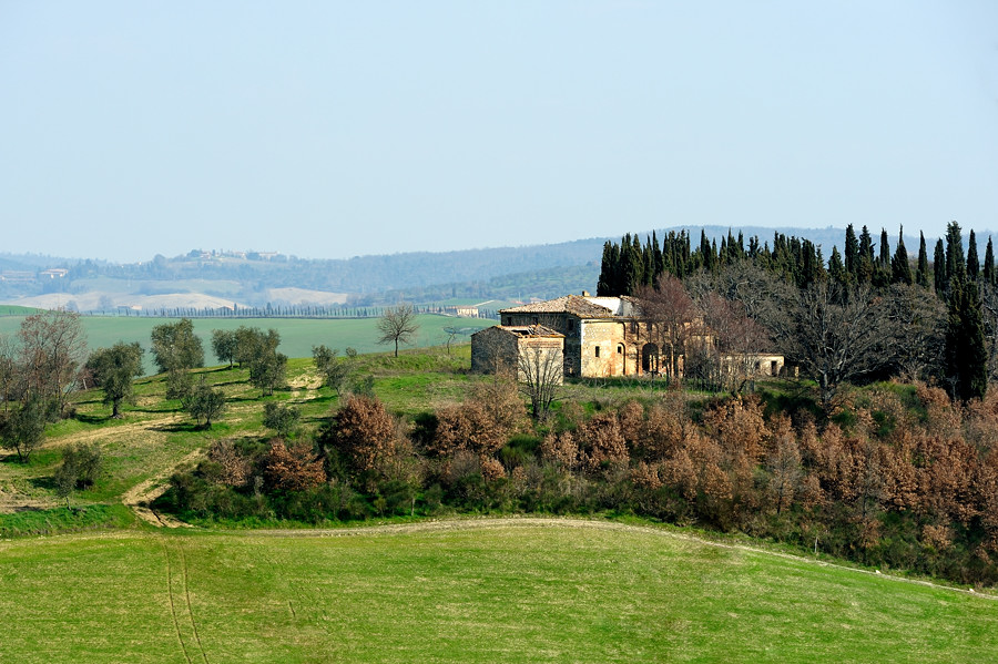 grün