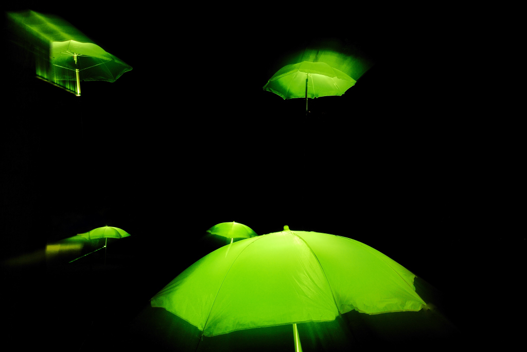 grüne Schirme