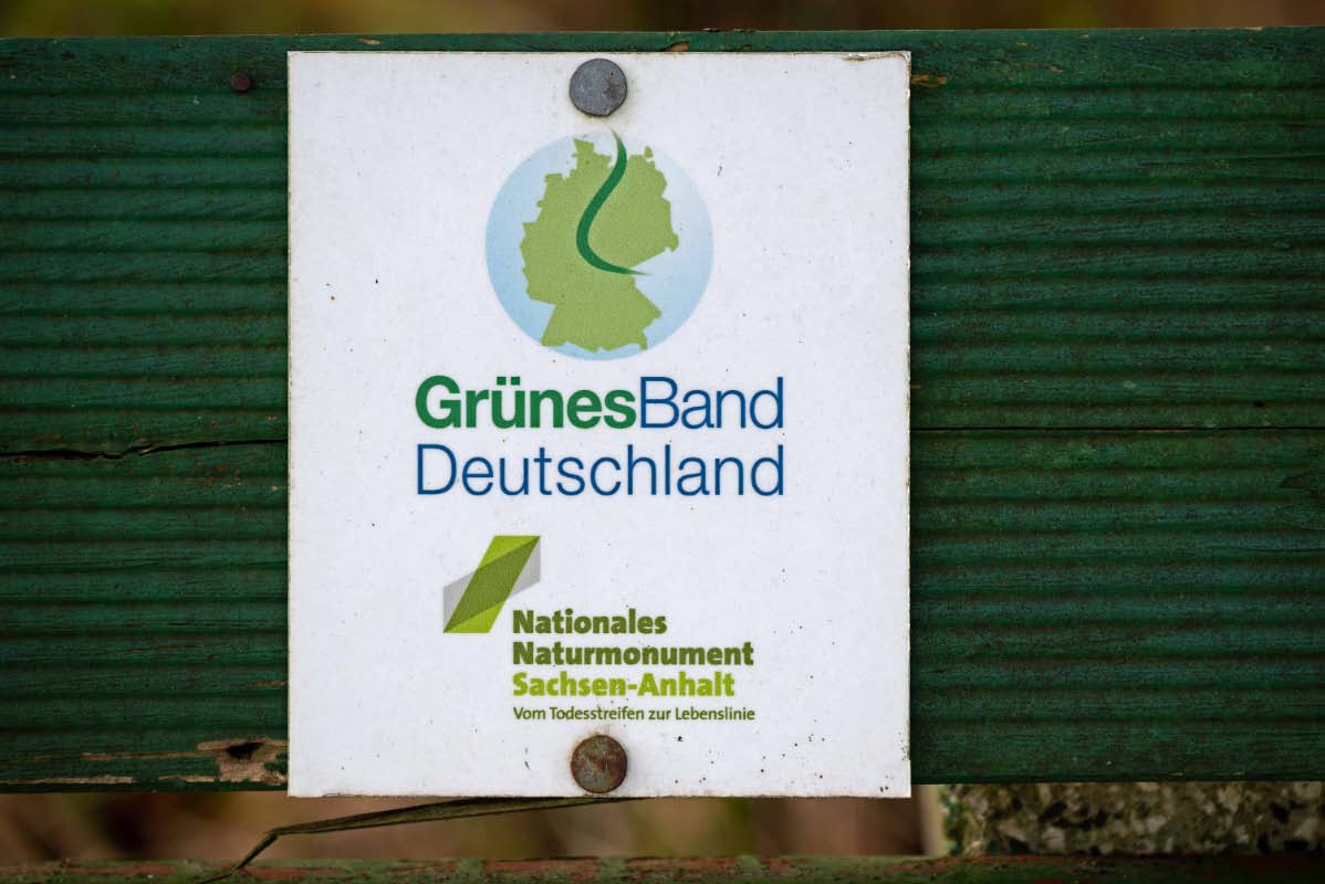 Grünes Band.jpg
