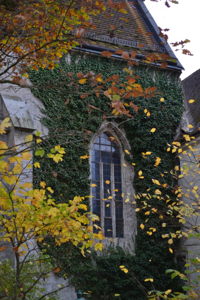 grünes Fenster