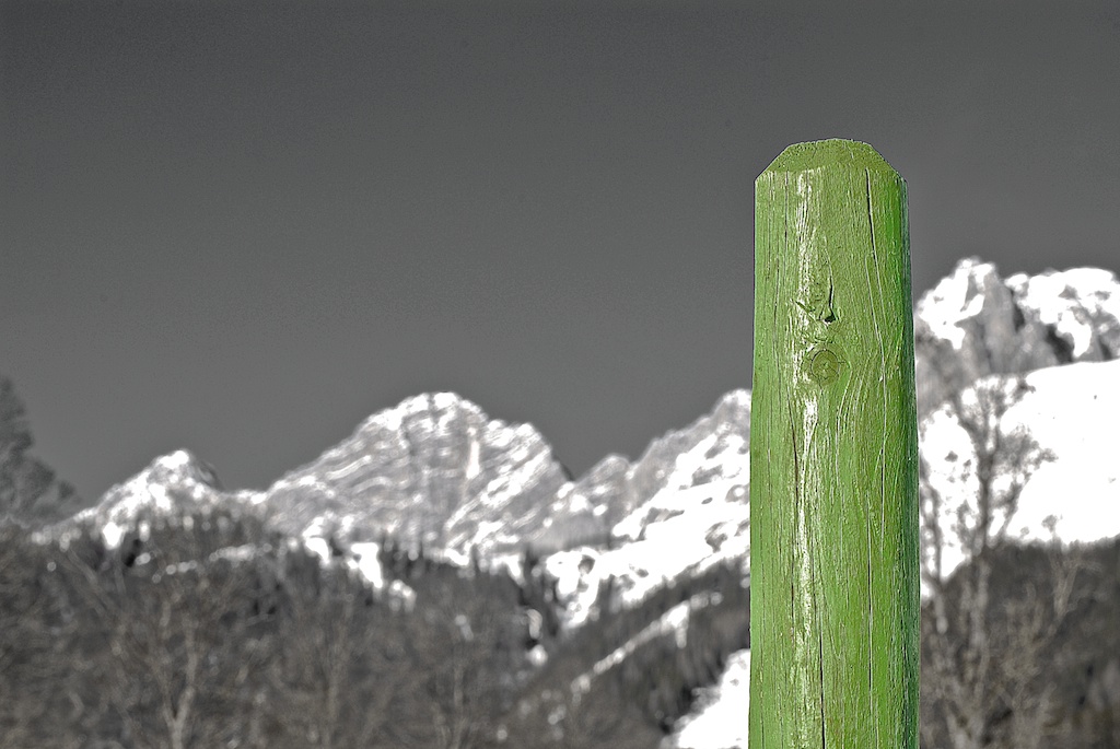 Grünpfahl 1